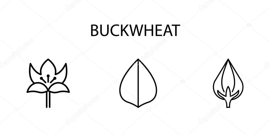 Buckwheat Line Icon In A Simple Style. Culture. Cereal. Farm. Plant. A set of vector icons in a simple style, isolated on a white background. 64x64 pixel.