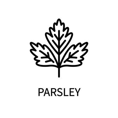 Maydanoz Hattı Simgesi Basit Tarzı. Sağlıklı yiyecekler. Doğal Ürün. Beyaz arkaplanda izole edilmiş basit bir biçimdeki vektör işareti