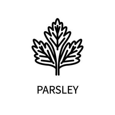 Maydanoz Hattı Simgesi Basit Tarzı. Sağlıklı yiyecekler. Doğal Ürün. Beyaz arkaplanda izole edilmiş basit bir biçimdeki vektör işareti