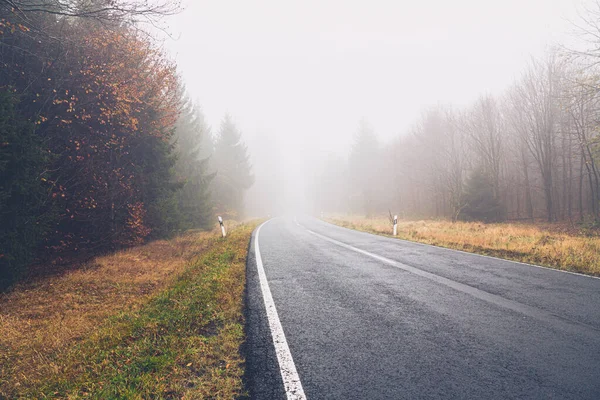empty forest road in fog