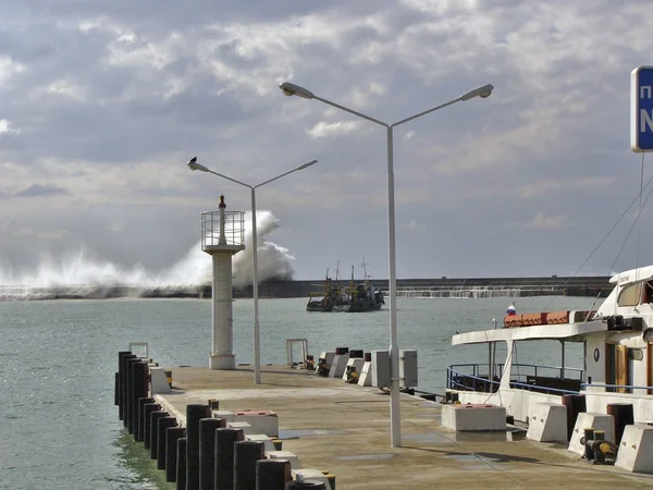 Sochi port fırtınada