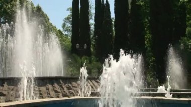 Park piramit selvi çevrili art arda sıralı çeşmeler
