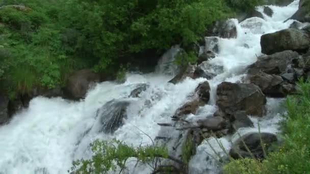 Râul de munte — Videoclip de stoc