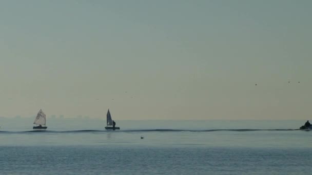 Régate de voile dans les eaux de la ville de Sotchi en mer Noire 