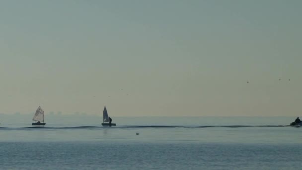 Regata à vela nas águas da cidade do Mar Negro de Sochi — Vídeo de Stock