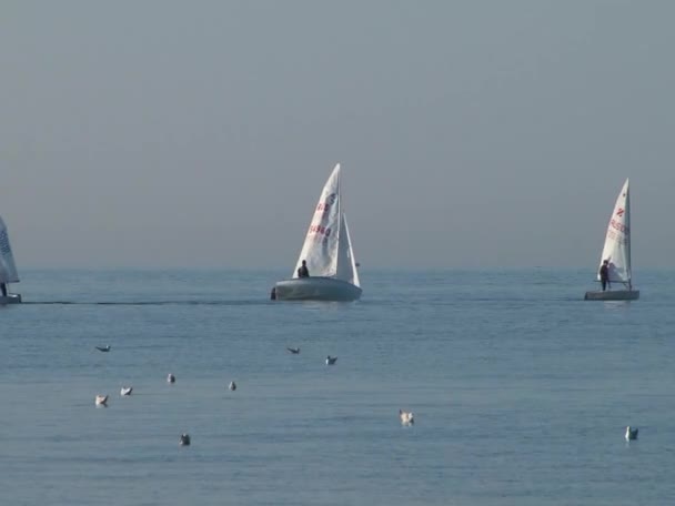 Спортсмены на парусных судах, плавающих в водах города Сочи на Черном море весной 2015 года — стоковое видео