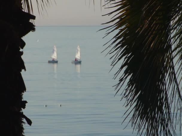 Regata de vela en las aguas del Mar Negro — Vídeos de Stock