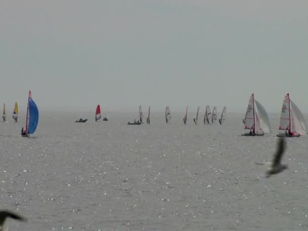 Atleten op de zeilen rechtbanken drijvend in de wateren van de stad van Sotsji aan de Zwarte Zee — Stockvideo