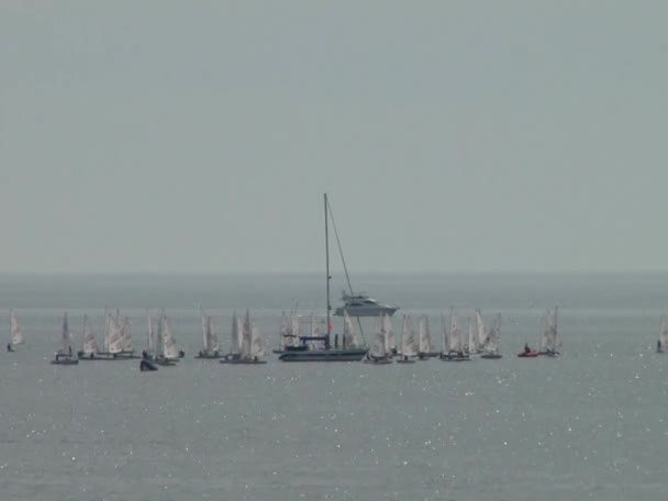 Парусная регата в водах Черного моря — стоковое видео