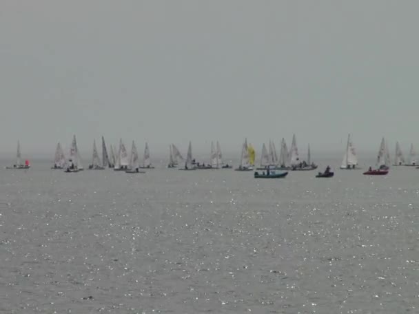Atletas en las canchas de vela flotando en las aguas de la ciudad de Sochi en el Mar Negro — Vídeos de Stock