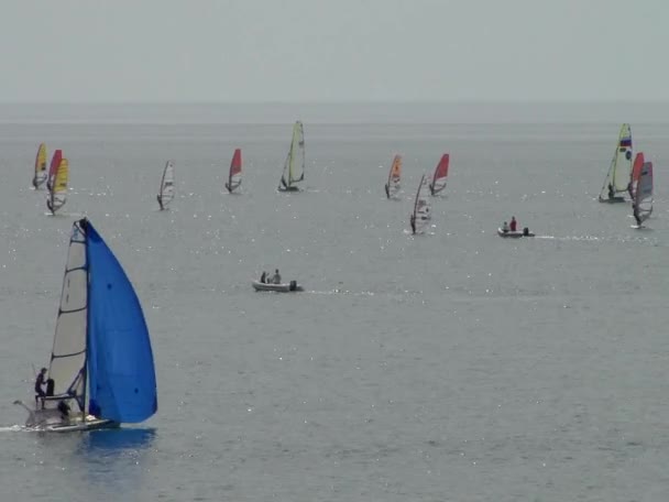 Athletes at the sailing courts floating in the waters of the city of Sochi on the Black Sea — Stock Video