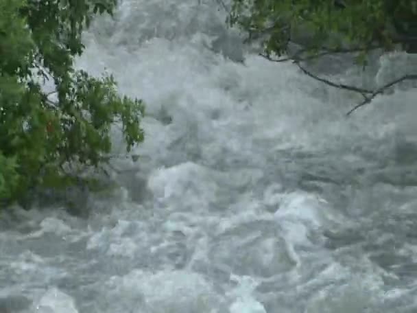 Río de montaña — Vídeo de stock