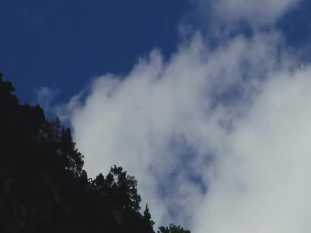 Kurtat dağın gorges — Stok video