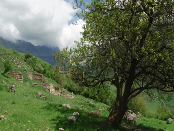 Ortaçağ yayla yerleşim — Stok video