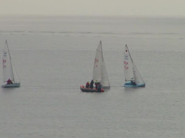 Athlètes sur les terrains de voile flottant dans les eaux — Video