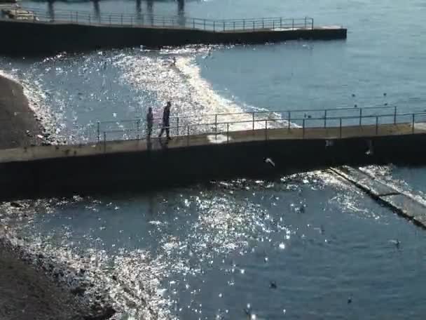 海鸥移动海洋布恩 — 图库视频影像