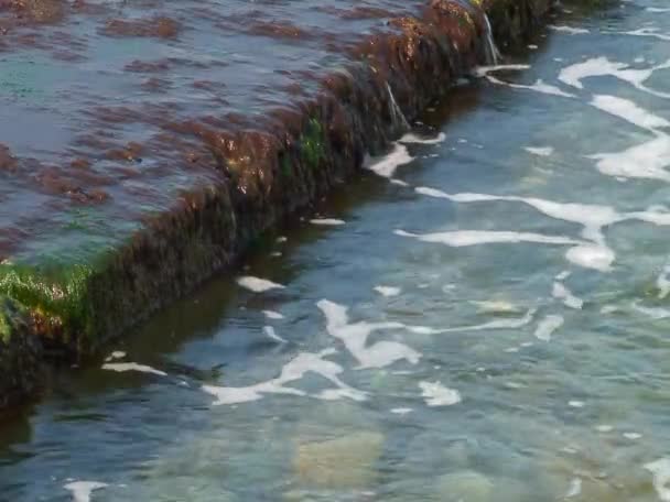 Die Wellen, die gegen die Landungsbrücke schlagen und sonniger Sommertag — Stockvideo