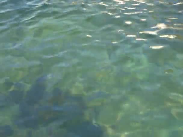 Волны бьются о берег и солнечный летний день — стоковое видео