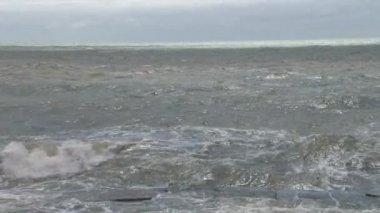 Karadeniz bir fırtınada uçan martılar