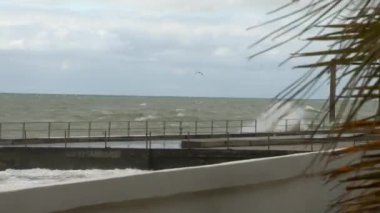 Karadeniz'de bir fırtına sırasında büyük dalgalar deniz boyunca mesire