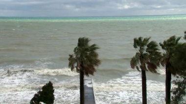 Bir fırtına sırasında sallar sahil Promenade Karadeniz kıyısında kasırga ağaçlar