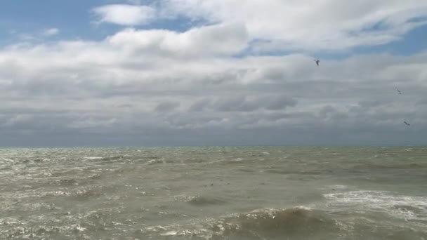 Gaviotas volando sobre el Mar Negro durante una tormenta — Vídeos de Stock