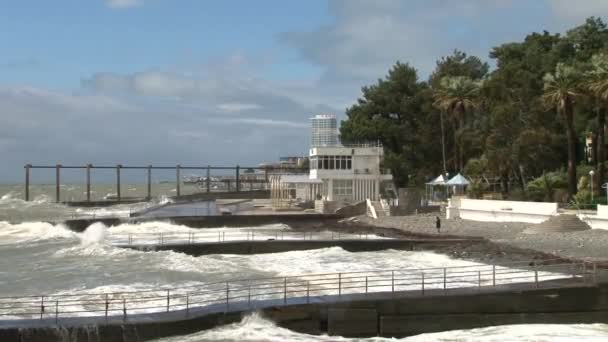 Grandes vagues le long de la promenade maritime lors d'une tempête dans la mer Noire — Video