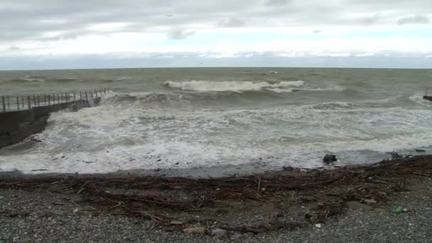 Le onde spazzarono via tronchi d'albero e rami in una tempesta nel Mar Nero — Video Stock