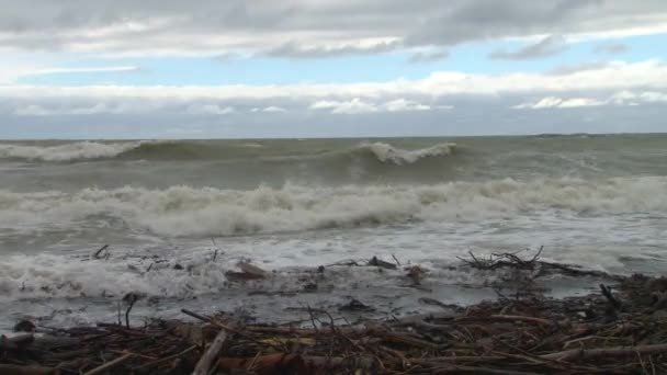 海浪冲上岸树干和树枝在暴风雨中黑色的大海. — 图库视频影像