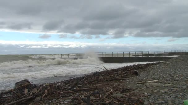 Vågorna spolas iland trädstammar och grenar i en storm i Svarta havet — Stockvideo