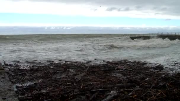 De golven aangespoeld van boomstammen en takken in een storm in de Zwarte Zee — Stockvideo