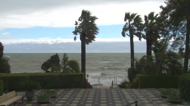 Karadeniz'de bir fırtına sırasında büyük dalgalar deniz boyunca mesire — Stok video