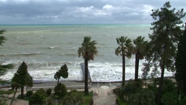 Большие волны вдоль набережной во время шторма в Черном море — стоковое видео