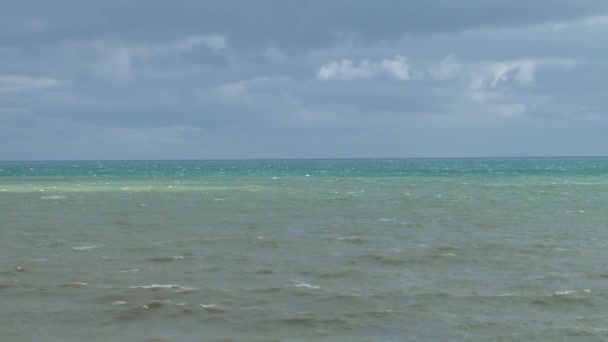 Möwe fliegt bei Sturm im Schwarzen Meer unter Gewitterwolken — Stockvideo