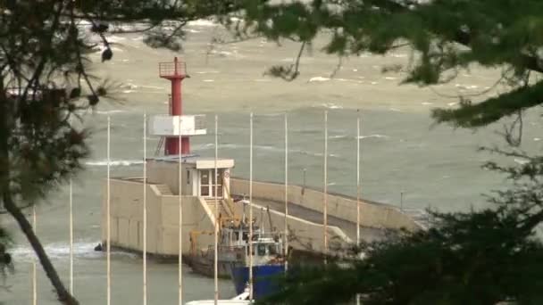 Huracán sacude sus árboles con vistas al faro Centro de Vela durante una tormenta en el Mar Negro — Vídeo de stock