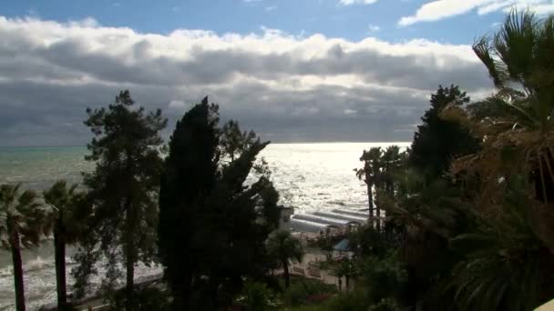 Orkaan schudt de bomen op de boulevard aan de kust van de Zwarte Zee tijdens een storm — Stockvideo