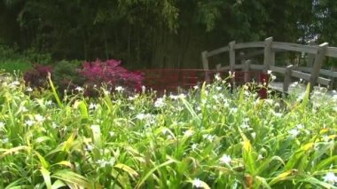 Japon Bahçe Botanik Bahçesi içinde üzerinde Panorama