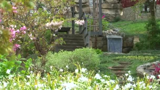 Panorama sobre el jardín japonés en el arboreto — Vídeo de stock