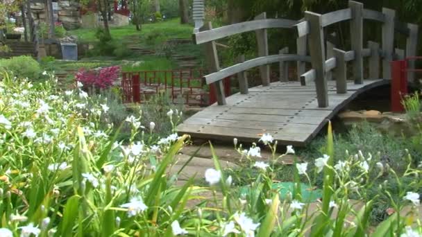 Panorama sobre o jardim japonês no arboreto — Vídeo de Stock