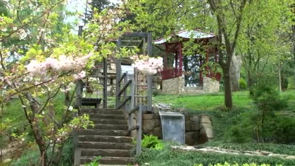 Panorama sur le jardin japonais dans l'arboretum — Video