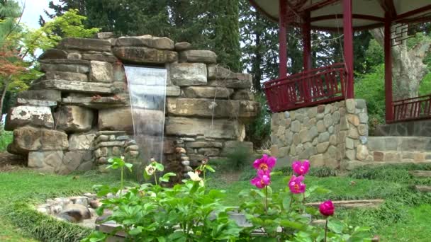 Panorama sobre o jardim japonês no arboreto — Vídeo de Stock