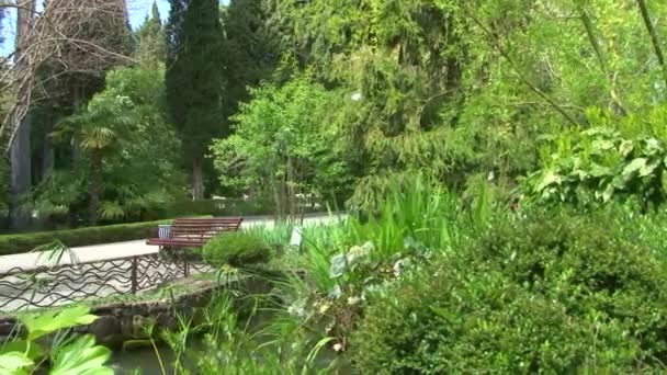 Panorama over de Japanse tuin in het arboretum — Stockvideo