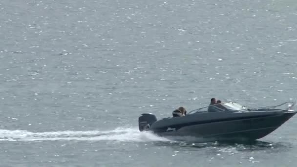 Atletas en las canchas de vela flotando en las aguas de la ciudad de Sochi en el Mar Negro — Vídeos de Stock