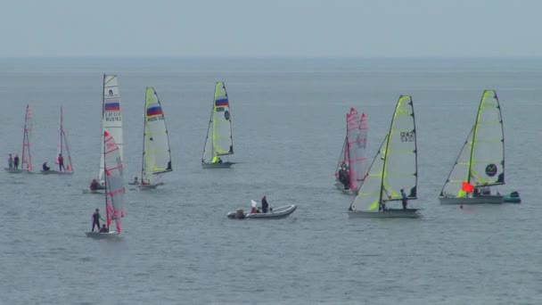 Atleten op de zeilen rechtbanken drijvend in de wateren van de stad van Sotsji aan de Zwarte Zee — Stockvideo