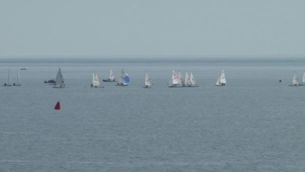 Idrottare på segling domstolarna flytande i vattnet i staden Sotji vid Svarta havet — Stockvideo