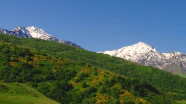Doğa ve manzara dağlık gorges