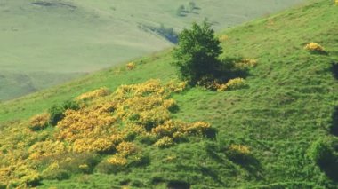 Doğa ve manzara dağlık gorges