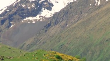 Doğa ve manzara dağlık gorges