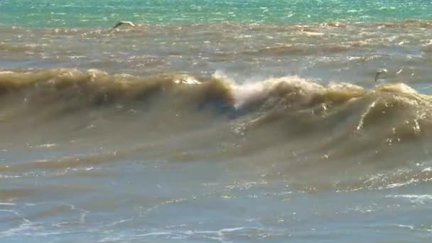 Tempête printanière sur la promenade maritime de la ville balnéaire de Sotchi — Video