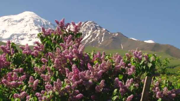 自然和风景的山区三峡 — 图库视频影像